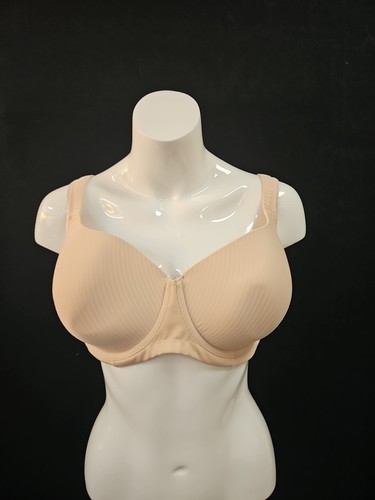 Triumph modern soft cotton - triumph, wp