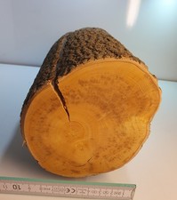 1 Stamm Drechselholz Buchsbaum