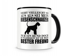 Riesenschnauzer mein bester