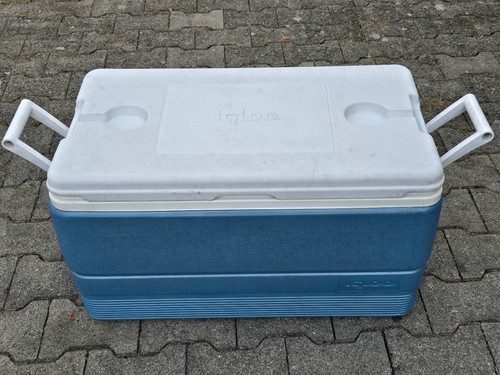 Coleman igloo 70 liter - igloo,