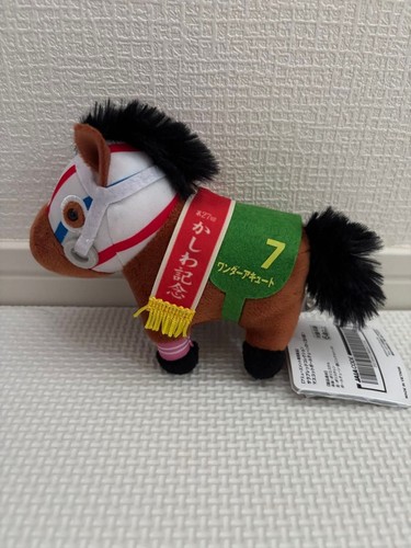 Wonder acute thoroughbred - wonder,