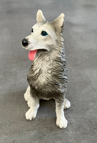 Siberian husky sitzend hund - husky,