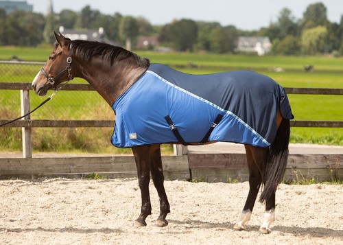 Harrys horse mesh pro - mesh-pro, decke