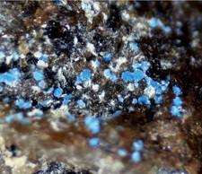 MM - Camérolait xx Spania Dolina SLOWAKEI -SSSSELTEN + SEHR SEHR SEHR SEHR SCHÖN