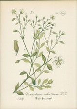 Chromolithographie 