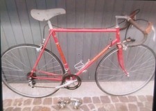 Gimondi Campagnolo Gipieme