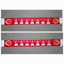 S10 Schal FC BSG ENERGIE