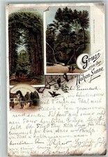 13974265 - 5900 Eisenach Hohen Sonne Gasthaus Wartburg Eisenach Stadtkreis 1897