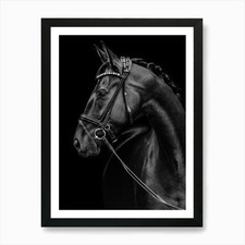 Black Horse Art Print Framed