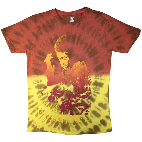 Jimi hendrix electric - hendrix, ladyland