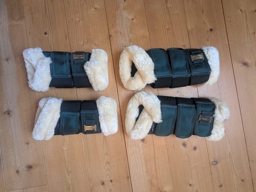 Dressur gamaschen warmblut - dressur,