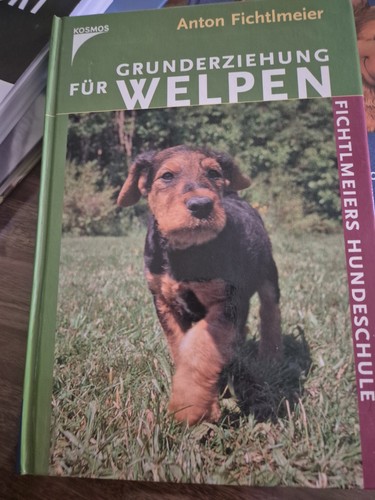 Grunderziehung für welpen - grunderziehung,