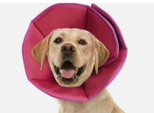 Halskrause Hund Schutzkragen