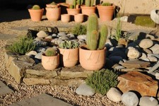 Pflanztöpfe im 3er Set,helle