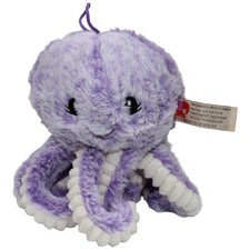 Morgenroth Süße lila Krake