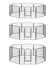 lionto Freilaufgehege Welpen