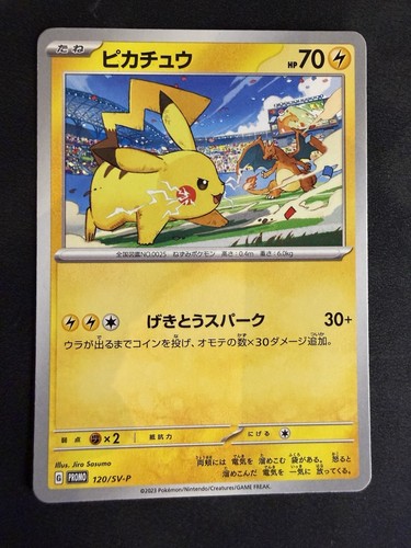 Pokemon pikachu glurak - pikachu,