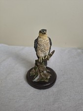 Eaglemoss Vogelwelt Der