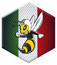 Emblem Plakette Logo Kaskade Front für Piaggio Vespa Hexagon PX,LX,ET,GTX,Zip,X8