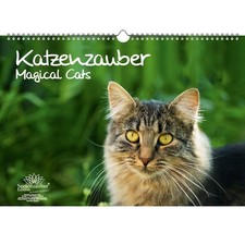 Katzenzauber DIN A3 Kalender -