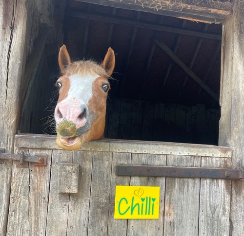 Personalisiertes pferd name - personalisiertes,