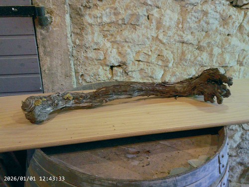 Weinstock herbstdeko holz - weinstock,