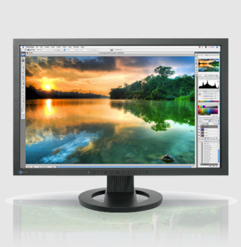 Eizo coloredge cg223w - coloredge, va