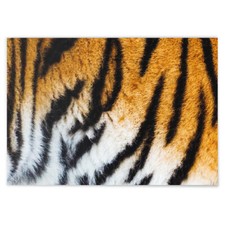 JUNIWORDS Poster, Tigerfell