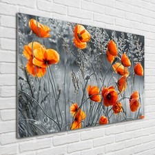 Acrylglas-Bild Wandbilder