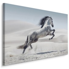 Leinwand Bild CANVAS WANDBILD