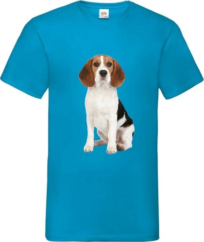 Shirt beagle hund - t-shirt, haustier