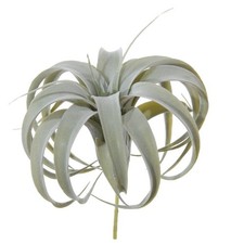 artplants Künstliche Pflanze