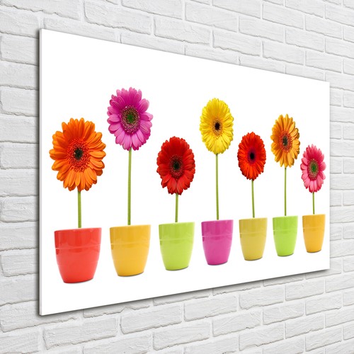 Acrylglas bild wandbilder - acrylglas-bild,