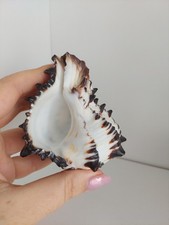 Süße Schwarz🖤 und