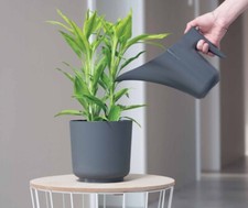 Gießkanne Kunststoff