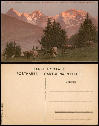 Mürren mürrenbahn - mürren,