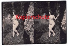 Aktfoto um 1900, erotisches Foto, vintage Stereophoto nackte Frau im See Erotik