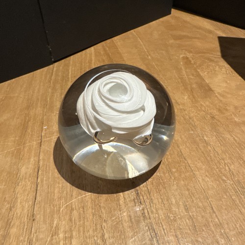 Caithness space rose - rose", white