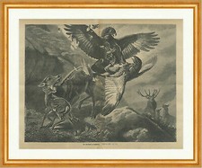 Zweikampf im Hochgebirge Adler