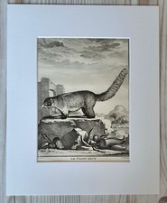 1767 Lithographie Kunstdruck