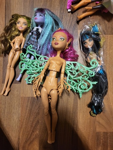 Monster high puppen - high, und