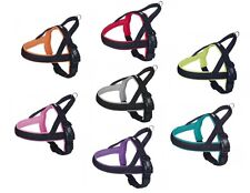 Norweger Geschirr Hundegeschirr soft neoprengepolstert Mesh Preno Nobby 