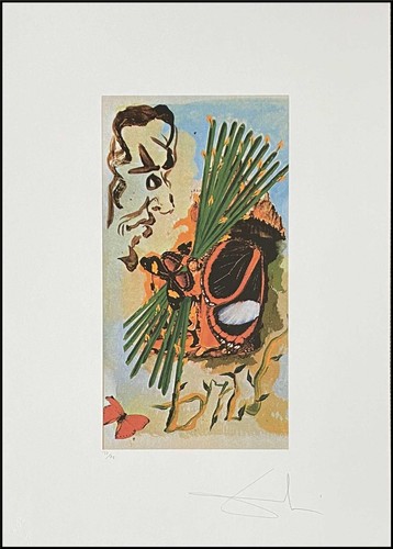 Salvador dali tarot 70 x - *, *