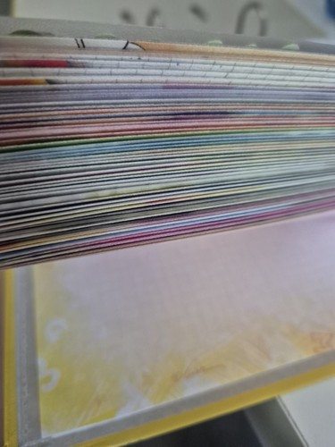 Diddl sammlung mit ordner ca - diddl,