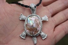 P0067R shell mother of pearl