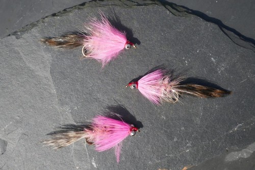 Polar magnus streamer - 3, #