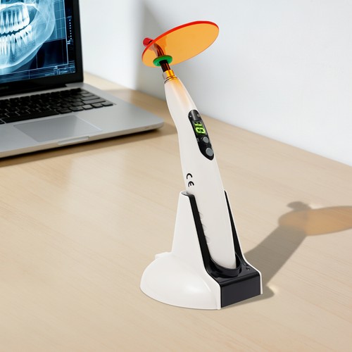 Dental zahnarzt - dental,