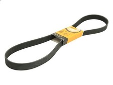 Keilrippenriemen CONTITECH