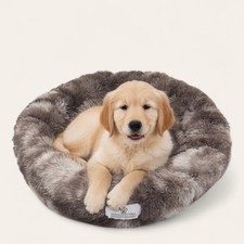 Pfoten&Nase Das gemütliche