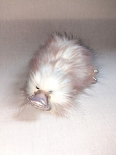 Nici Lifestyle Collection